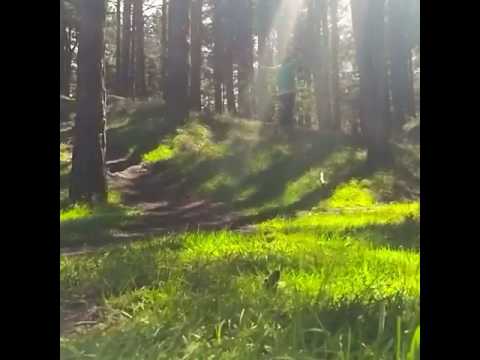 Stay alive kids.  The world is vast and full of beauty. (Feat HumblePimp )