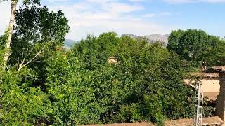 preview picture of video 'Beautiful Valley Tirah “Dabori” District Orakzai (Travel-dairy P-2)'