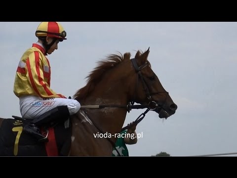 Gon. I - 21.08.2016 - Hanouh (Munjiz - Hafia de Faust)