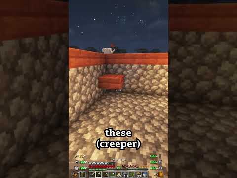 xVertrexDx - Cat Jumps Out Of Base In Hardcore World! 🤣