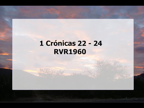 La Biblia hablada / 1 Crónicas 22 - 24