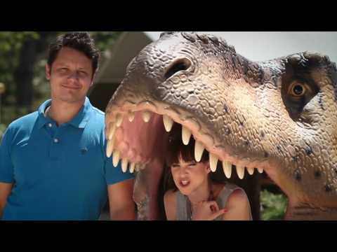 Szerencse Híradó - 2016. július 21.