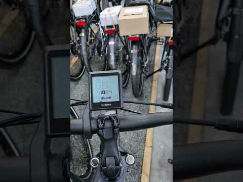 Bosch Intuvia 100 | Einstellungen | Uhrzeit einstellen