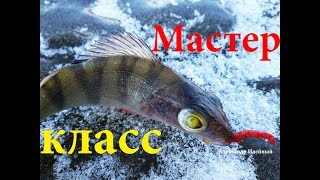 Какая рыба не клюет зимой