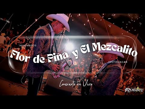 Los Rugar  - LA FLOR DE PIÑA - EL MEZCALITO - En vivo en San Juan Teotihuacan