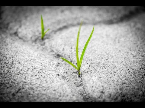 What we need to learn from Noah, Daniel and Job