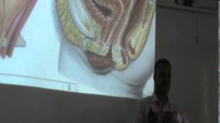 17) Dr. Hossam 26-04-2015 [ Vagina, Male & Female Pelvic Bone ]