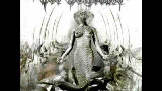 God Dethroned - Loyal To The Crown Of God Dethroned