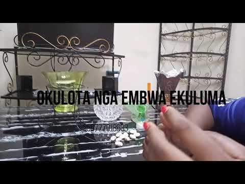 OKULOTA nga Embwa ekuluma , Manya kyekyitegeza with truthtellerreadings12@gmail.com