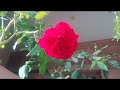 Din Mahine Sal Gujrate Jayenge Mix Song
