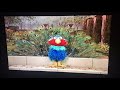 Elmo As A Peacock