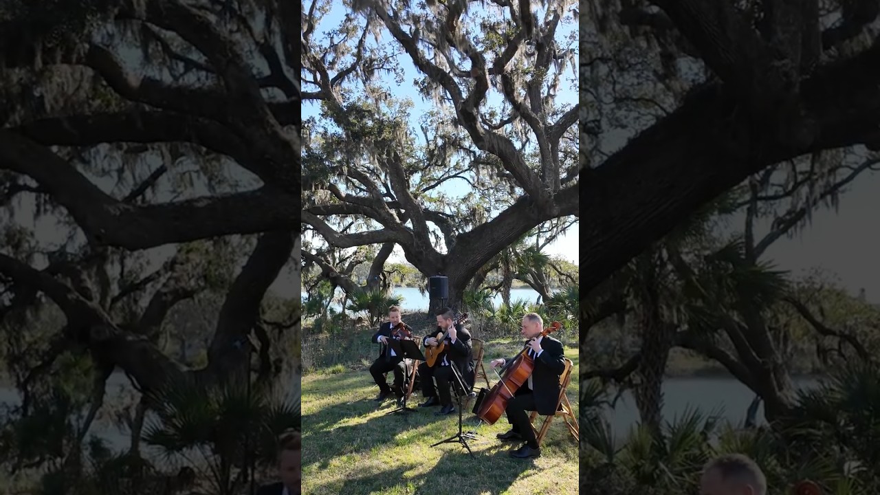 Wedding Guitar Trio thumbnail