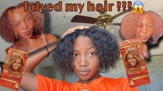 WATCH ME DYE MY HAIR FROM BLACK TO HONEY BLONDE 🍯 |NO BLEACH |  CREME OF NATURE🧡