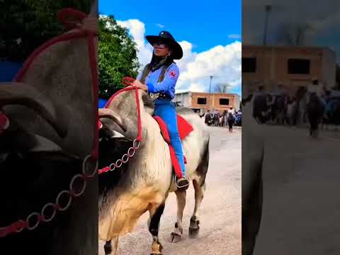 Cavalgada em Colmeia do Tocantins #cavalo