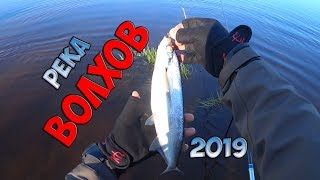 Рыбалка на реке волхов 2019