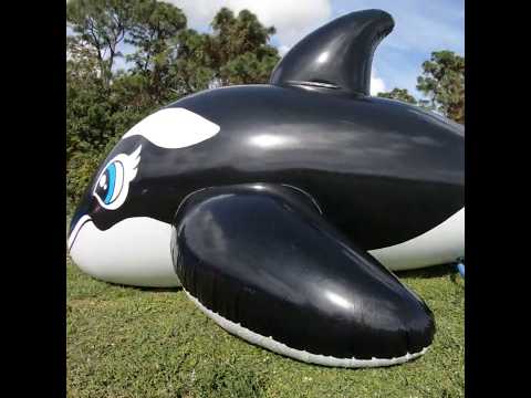 Inflatablewhale - Body Song - Misc Originals