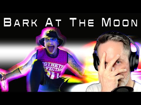 Aesthetic Perfection - Bark at the Moon Reaction