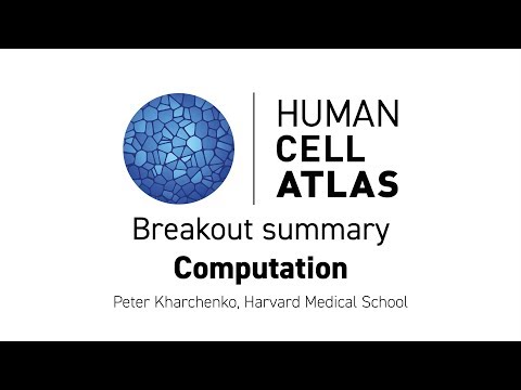 Hinxton 2018 - Breakout summary: Computation