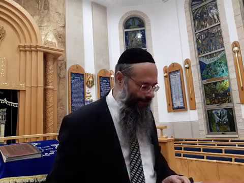שלום בית 2