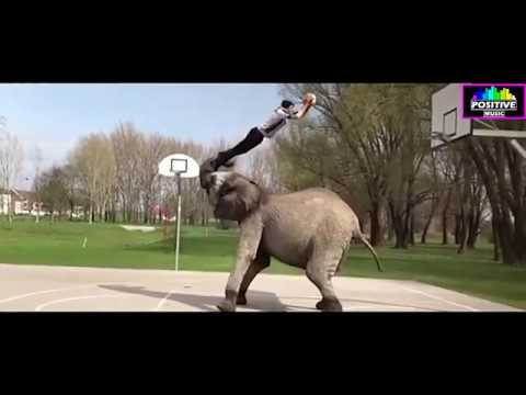 Rising Star feat  Fiora   Just As You Are No difference! All the same in the Sports!720p