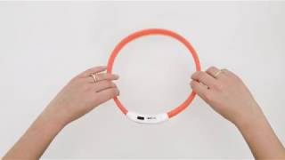 LED-Leuchtring Nylon "Big Dog" Gelb