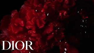 Christian Dior Esprit de Parfum - The Private Scent, Rouge Trafalgar