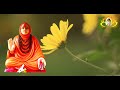Sri Guru Nrusimha Saraswathi Dashama Stotram