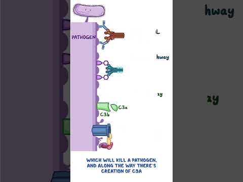 Clinical Cuts Diabetes mellitus