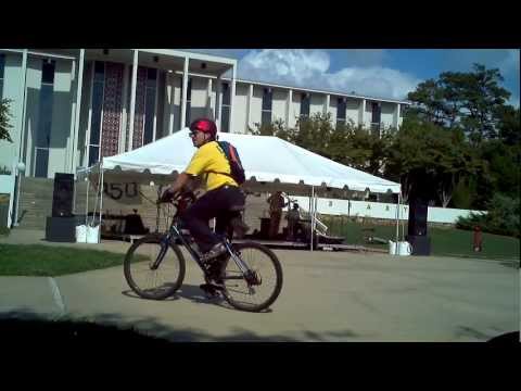 DogTale "Leaves" - Asheville