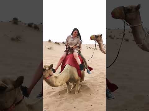 Réactions émotionnelles amusantes lors d'une promenade à dos de chameau au camp de safari dans le désert d'Al-Aweer