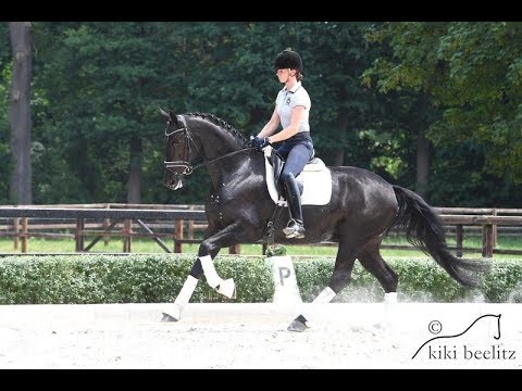 5 9 Feuerspiel   Danone