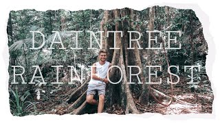 preview picture of video 'Daintree Rainforest // Australia // Backpacking Vlog 24 '