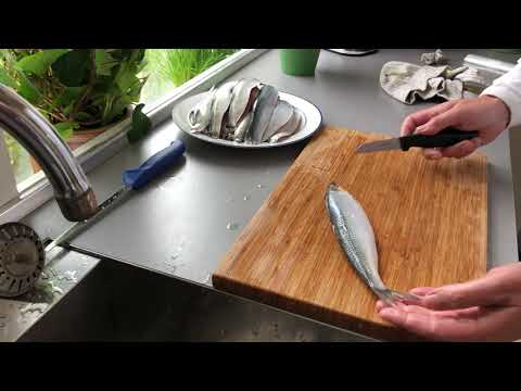 Filetering sild, dobbeltsidet filet