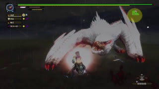 [MHFZZ]白ナる