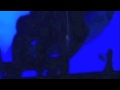 Video Porno De Gloria Trevi Y Armando En Alberca De Acapulco 64