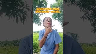 Download lagu Suami Banting Sawit, Istri Banting Poni mp3 Download lagu Suami Banting Sawit, Istri Banting Poni mp3