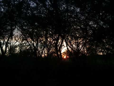 Al Amor - Andres Simón