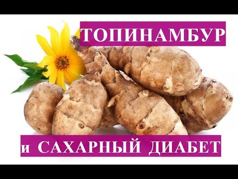 Земляная груша для диабетиков. Земляная груша при сахарном диабете. Земляная груша для диабетиков топинамбур. Топинамбур при сахарном диабете как употреблять. Земляная груша для диабетиков.