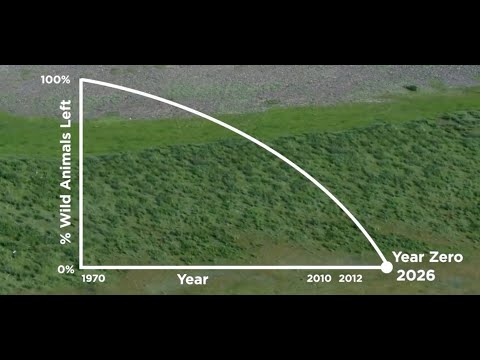 A World Built With Love, Innocence, Simplicity & Truth.