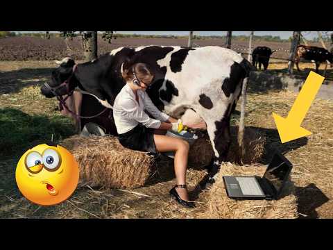 45 МИНУТ НЕВОЗМОЖНО 🤣 ОСТАНОВИТЬСЯ СМЕЯТЬСЯ САМЫЕ НЕЛЕПЫЕ И РЖАЧНЫЕ ПРИКОЛЫ 2025 УГАРНАЯ ПОДБОРКА