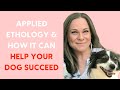 Applied Ethology How It Can Help Your Dog Succeed An Interview With Kim Brophey