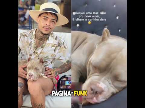 Cachorro do Mc Kevin “revuada” triste ouvindo a música dele 😭