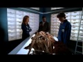 BONES SEASON 1