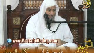 قرة عيون الموحدين (11) باب من تبرك بحجر أو شجر للشيخ مصطفى العدوي image