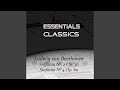 Symphony No. 2 In D Major, Op. 36: II. Larghetto