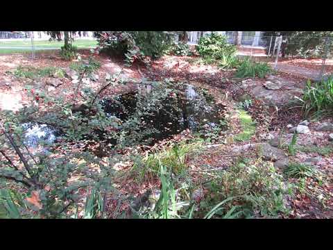 Der Stadtpark in Kempten 2018 10 18