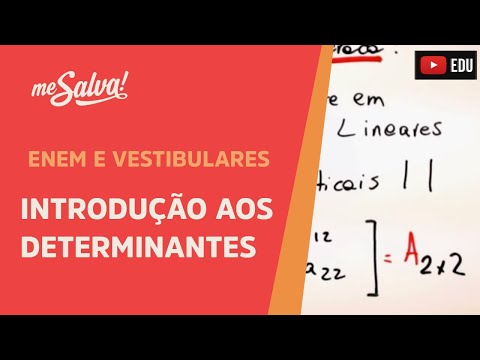 Introdução aos determinantes | ENEM e Vestibulares | Me Salva!