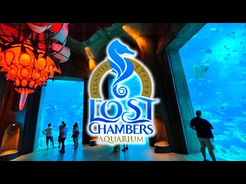 Lost Chambers Aquarium Atlantis Dubai Walkthrough Tour