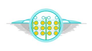 Biatain Silicone Ag - Animation