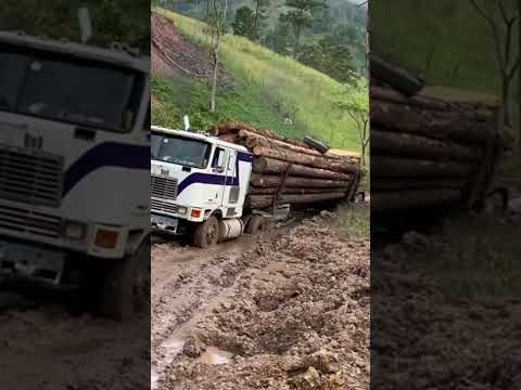 Logging truck vs dangerous road #trailer #viral #truckdriver